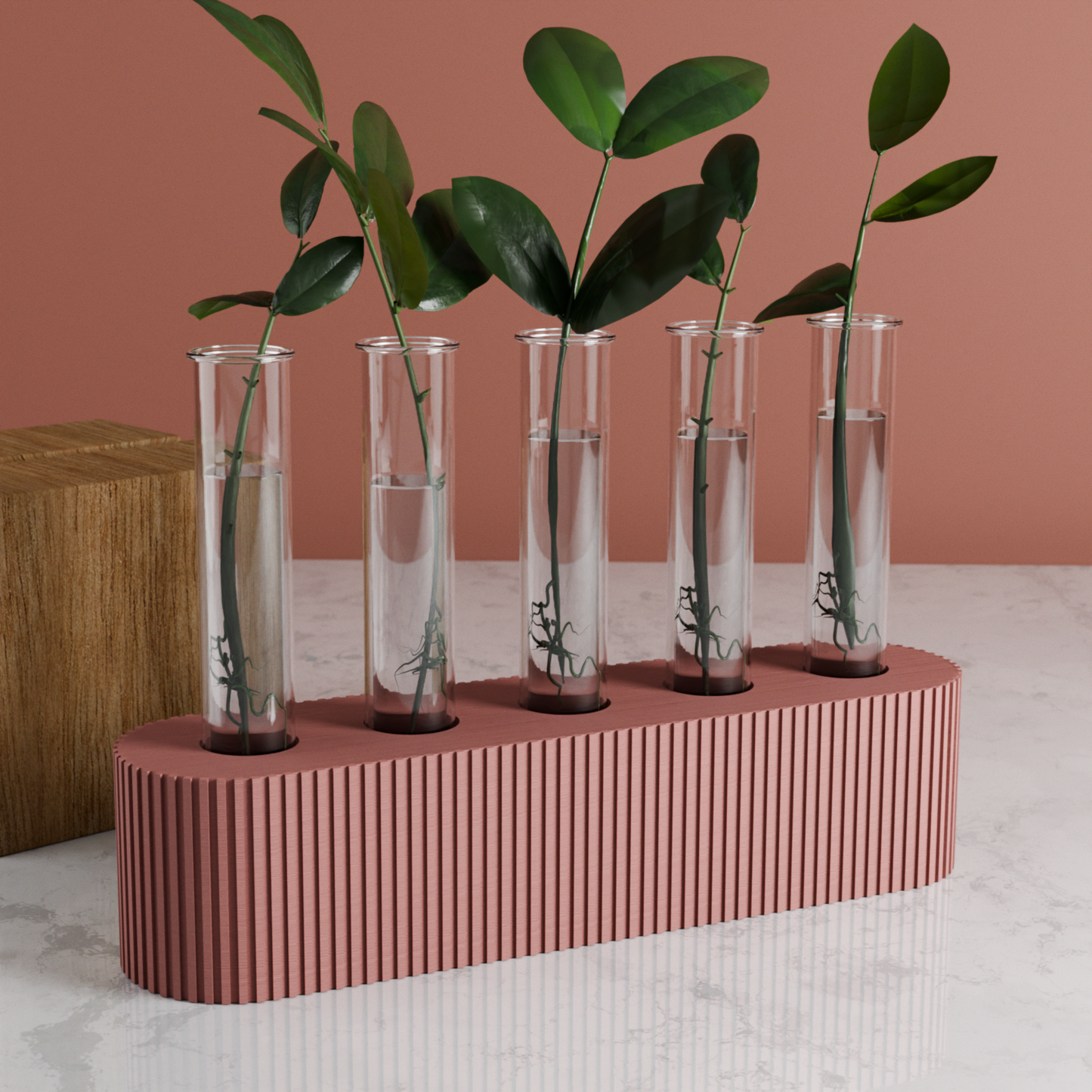 QUINTUPLE Propagation Stand-6