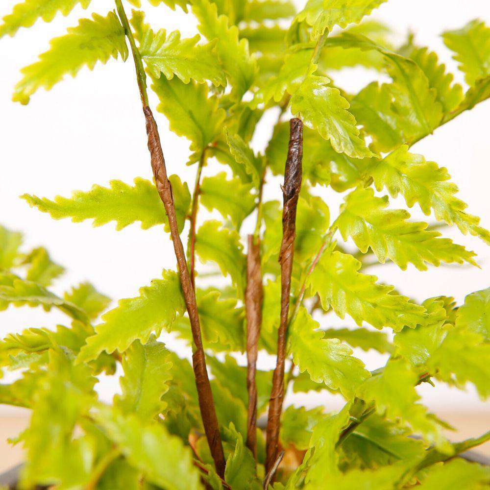 Kuta Potted Faux Fern