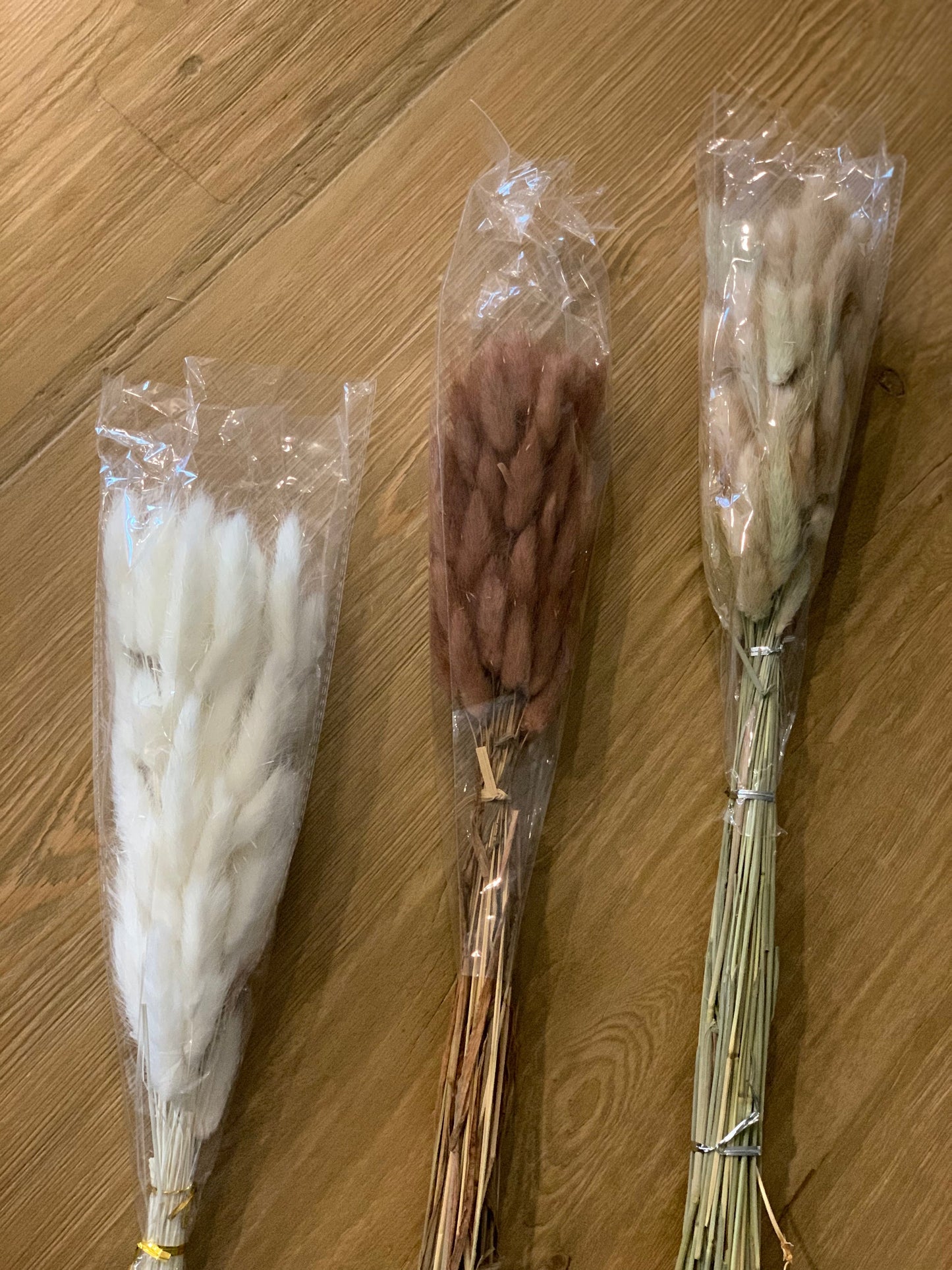 Dried Bunny Tail Bunch- Approx. 60 Stems