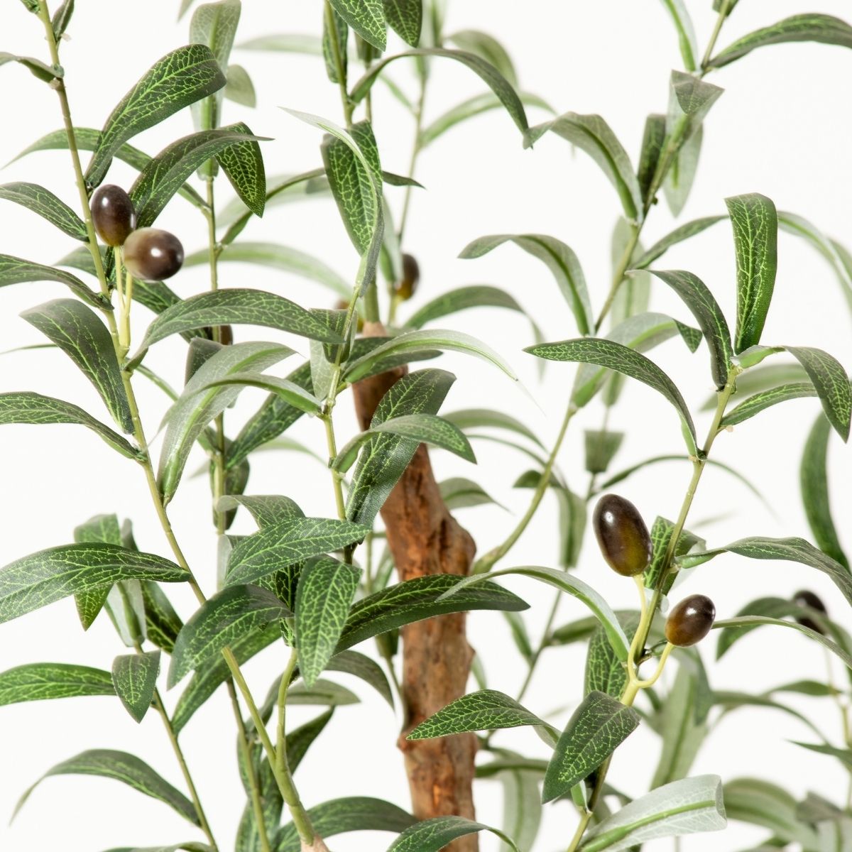 Olivo Artificial Olive Tree | Potted Plant (Multiple Sizes)