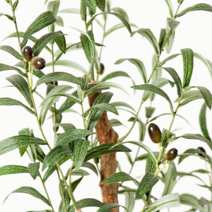 Olivo Artificial Olive Tree | Potted Plant (Multiple Sizes)
