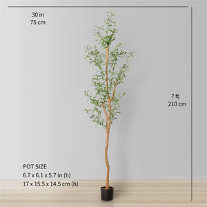 Olivo Artificial Olive Tree | Potted Plant (Multiple Sizes)