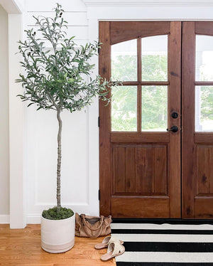 Oli Artificial Olive Tree Potted Plant (Multiple Sizes)