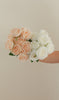 New Rose Bundle