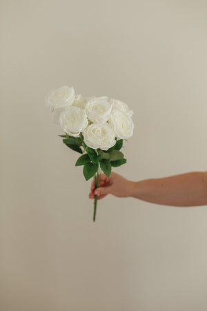 New Rose Bundle