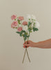 Small Rose Stem
