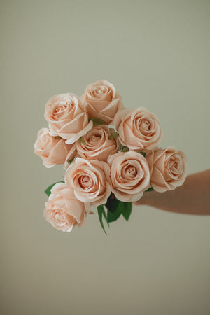 Fresh Rose Bundle