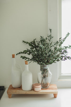 Italian short willow (Parvifolia)