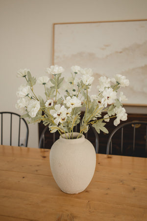 New Cosmos Stem