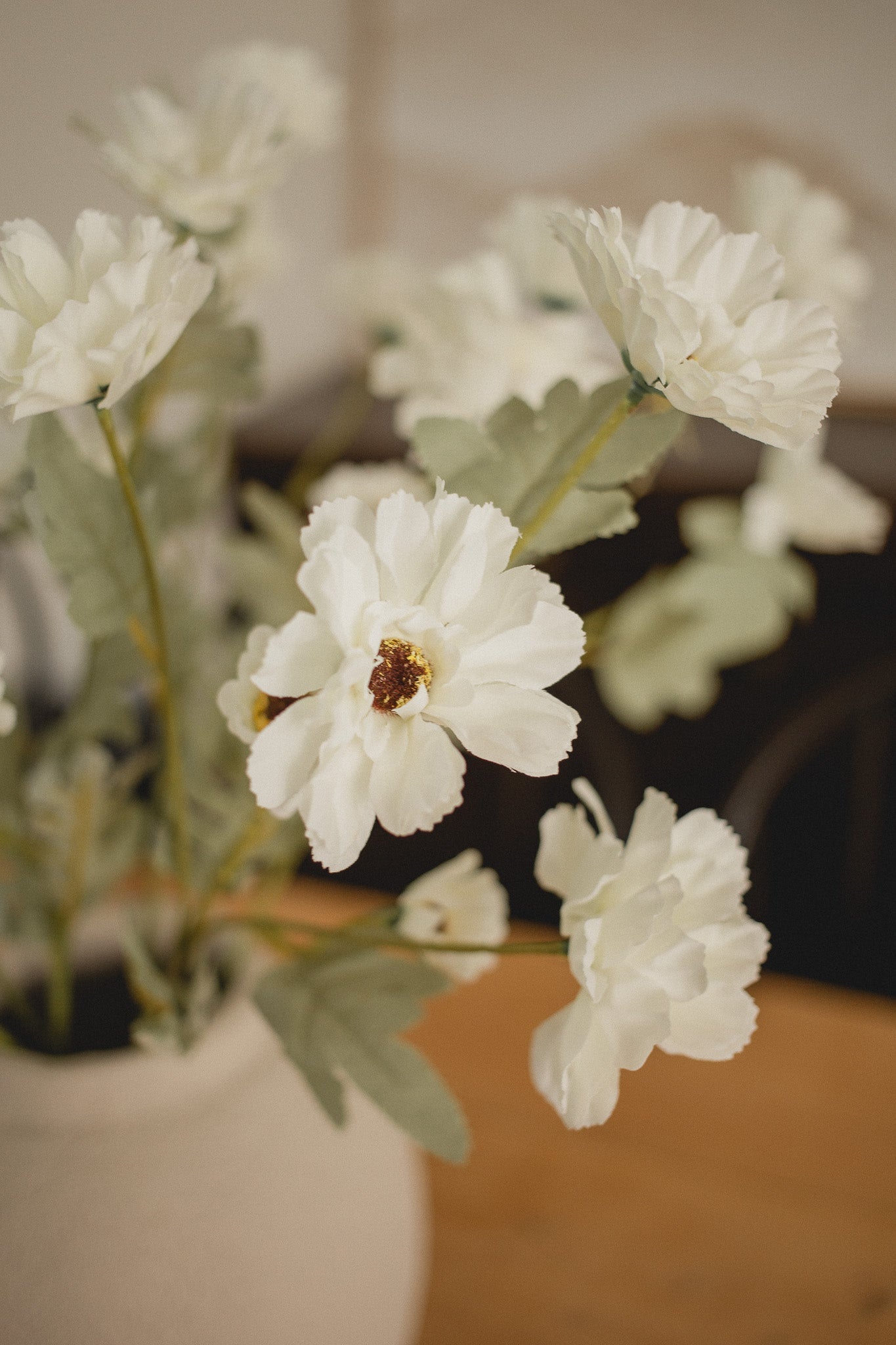 New Cosmos Stem