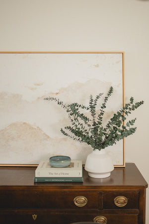 Italian Baby Eucalyptus