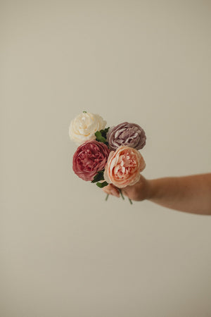 English Rose