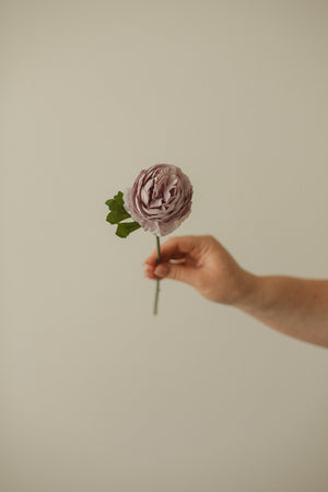 English Rose