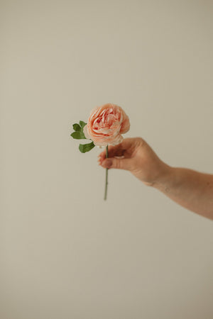 English Rose