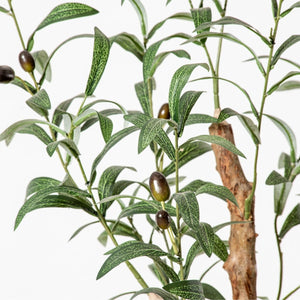 Olivo Artificial Olive Tree | Potted Plant (Multiple Sizes)