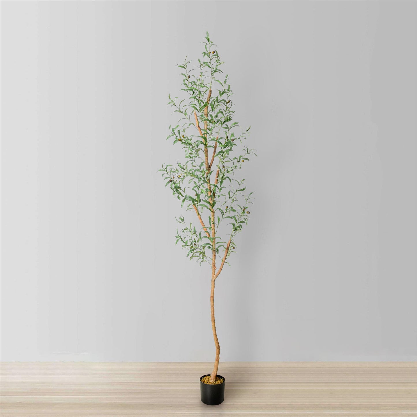 Olivo Artificial Olive Tree | Potted Plant (Multiple Sizes)