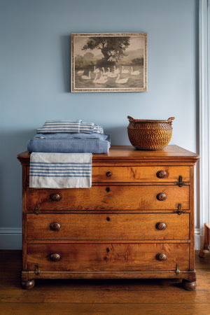 SWAN BALLET, artwork on rigid canvas, framed in Vintage Silver