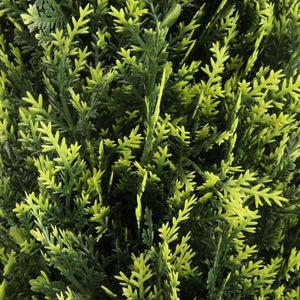 Jacob Potted Boxwood Topiary Plant (Multiple Sizes)