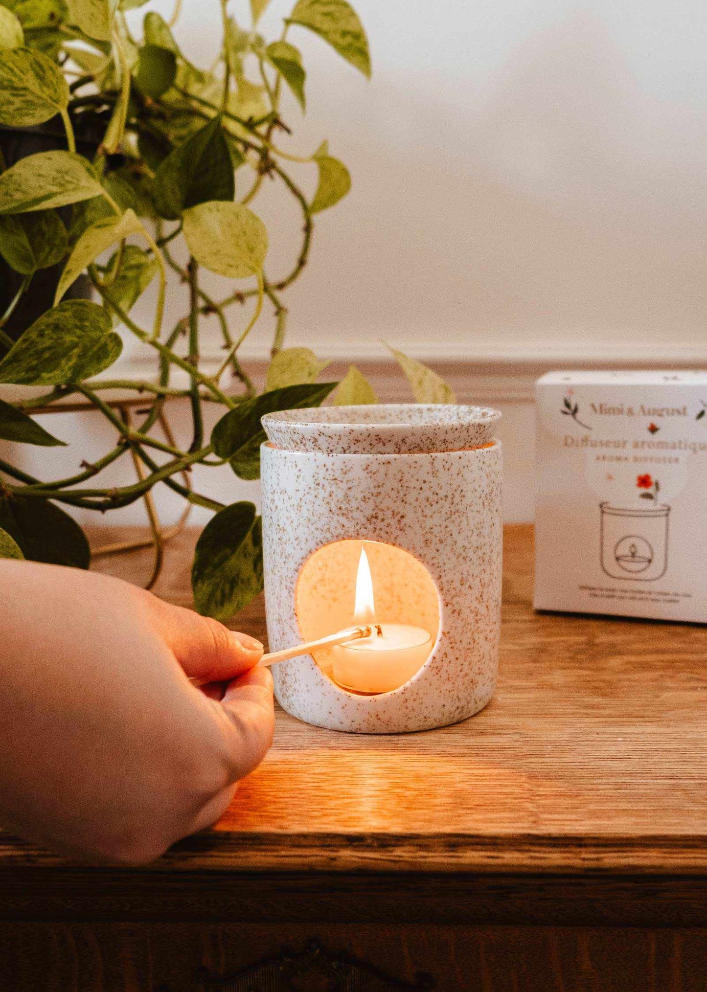 Aromatic Ceramic Diffuser