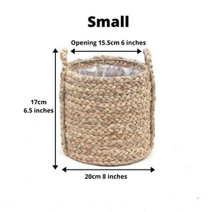 Cece - Water Hyacinth Planter