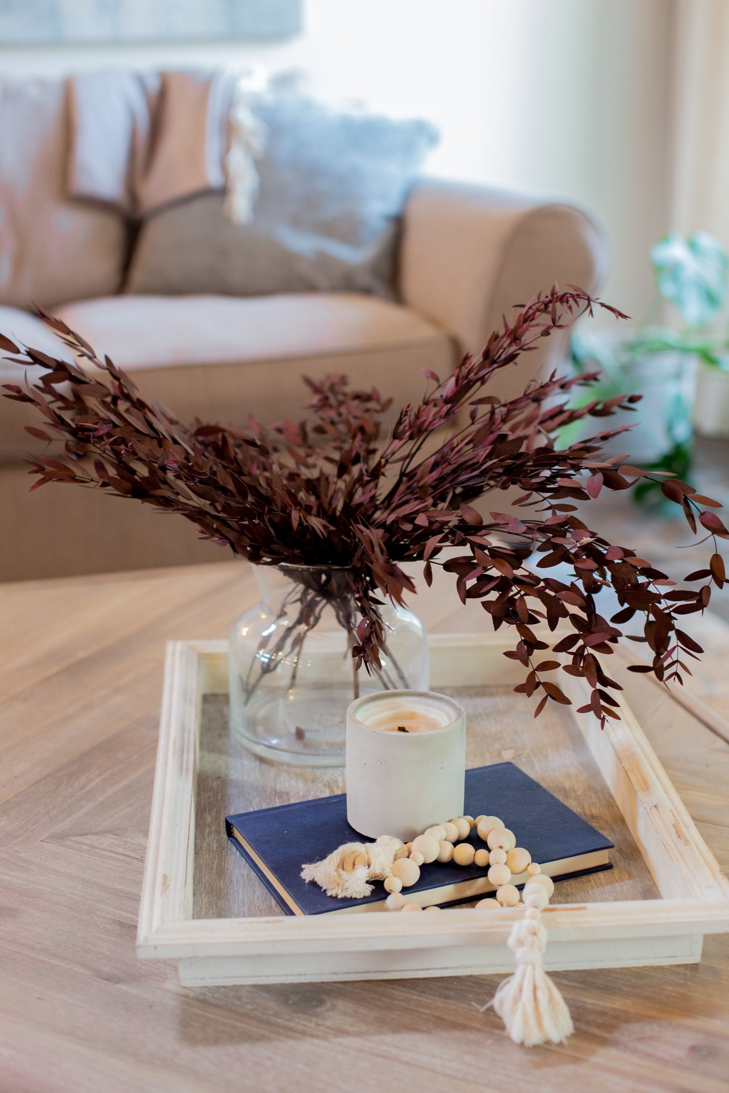 Preserved Short Willow Eucalyptus (Parvifolia)