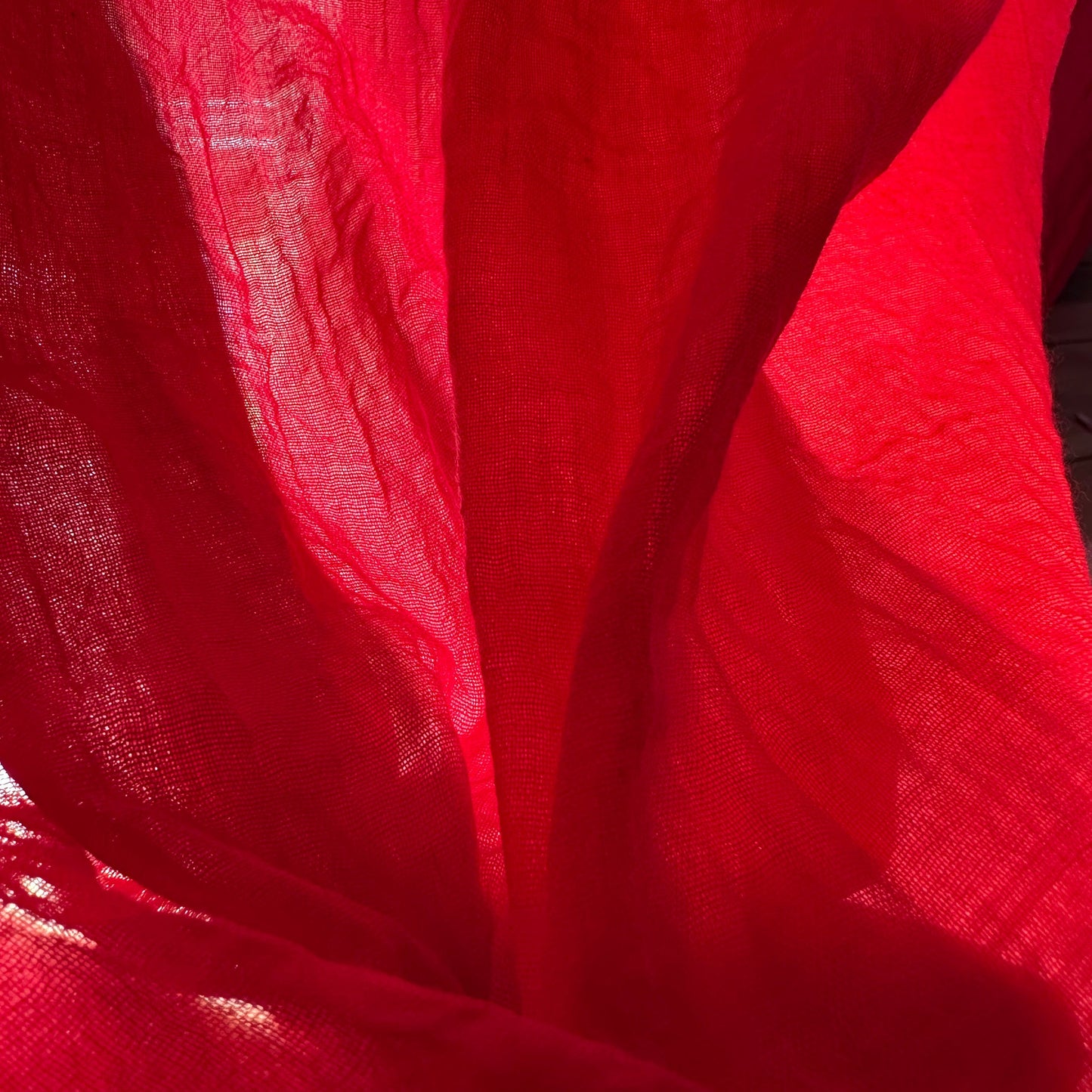 Modern Window Curtains - POPPY FIELDS 5