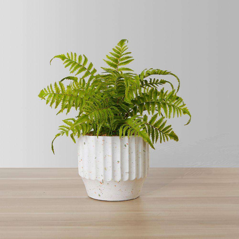 Kuwu Potted Faux Fern