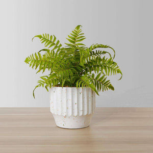Kuwu Potted Faux Fern