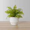 Kuwu Potted Faux Fern