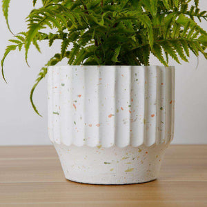 Kuwu Potted Faux Fern