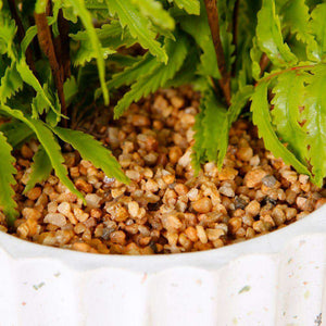 Kuwu Potted Faux Fern