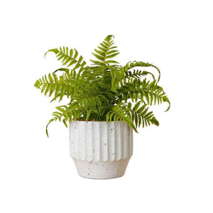 Kuwu Potted Faux Fern