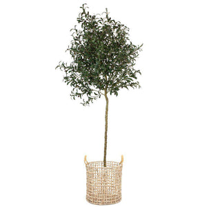 Lupe Water Hyacinth Planter
