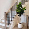 Mila Artificial Fiddle Leaf Potted Plant (Multiple Sizes)