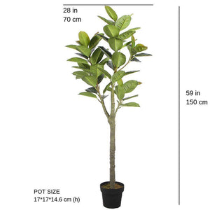 Nero Artificial Rubber Potted Plant 5'