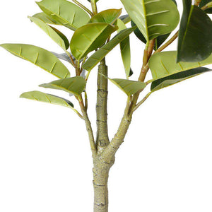 Nero Artificial Rubber Potted Plant 5'