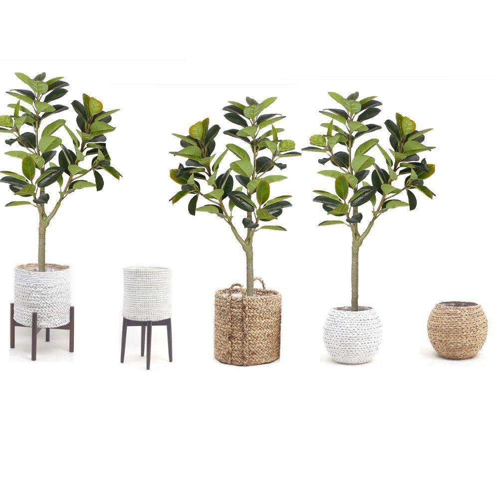 Nero Artificial Rubber Potted Plant 5'