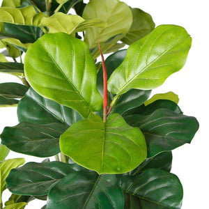 Nora Artificial Fiddle Leaf Potted Plant | Multiple Sizes