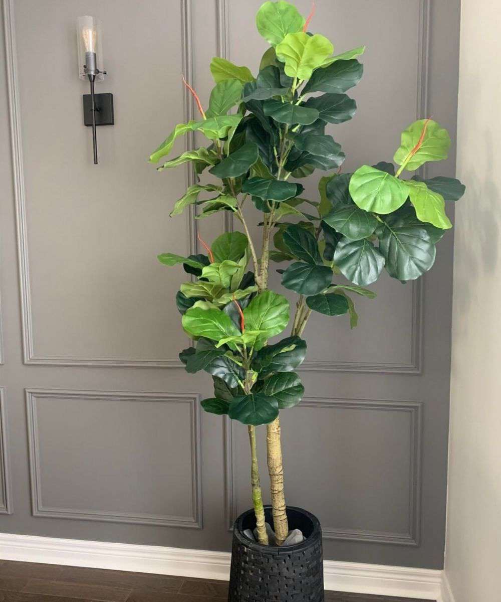 Nora Artificial Fiddle Leaf Potted Plant | Multiple Sizes