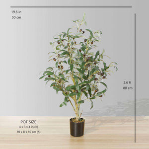 Oli Artificial Olive Tree Potted Plant (Multiple Sizes)