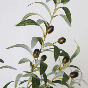 Oli Artificial Olive Tree Potted Plant (Multiple Sizes)