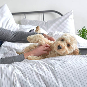 Essential Organic Percale Collection Duvet Cover