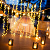Reona- Indoor & Outdoor String Lights