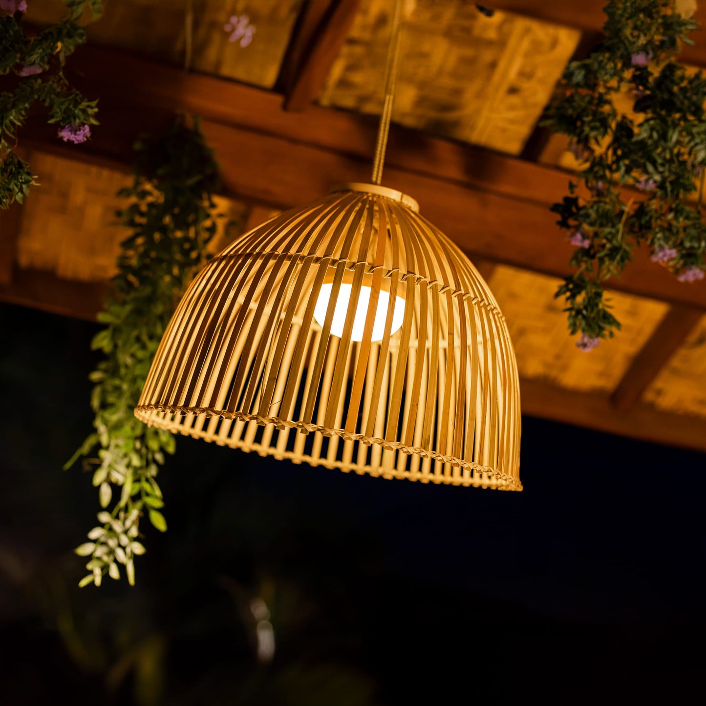 Reona- Indoor & Outdoor String Lights