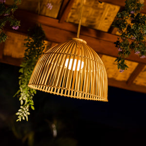 Reona- Indoor & Outdoor String Lights