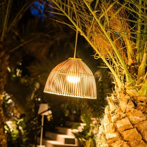 Reona- Indoor & Outdoor String Lights