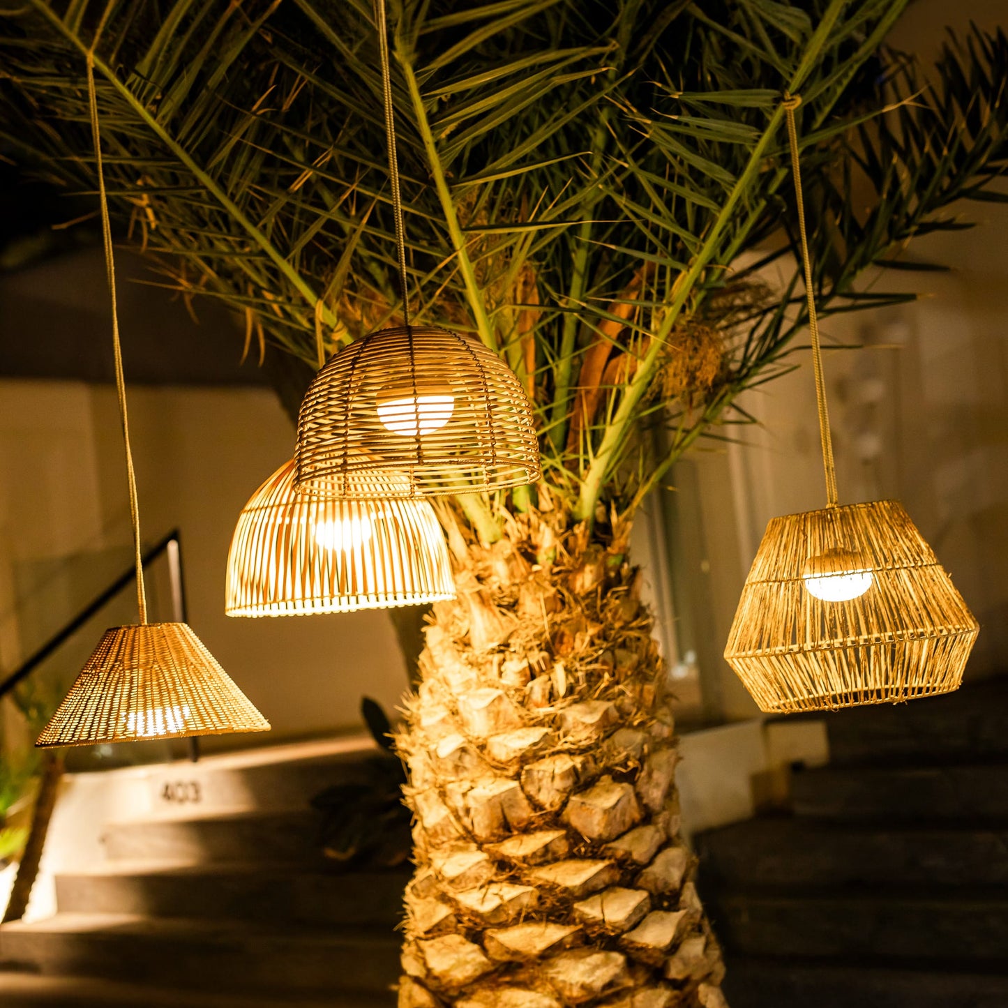 Reona- Indoor & Outdoor String Lights