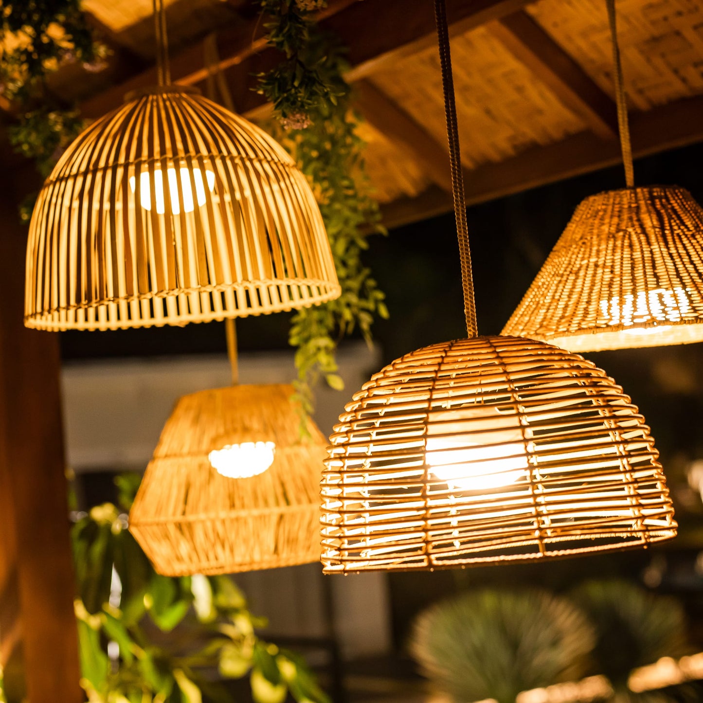 Reona- Indoor & Outdoor String Lights