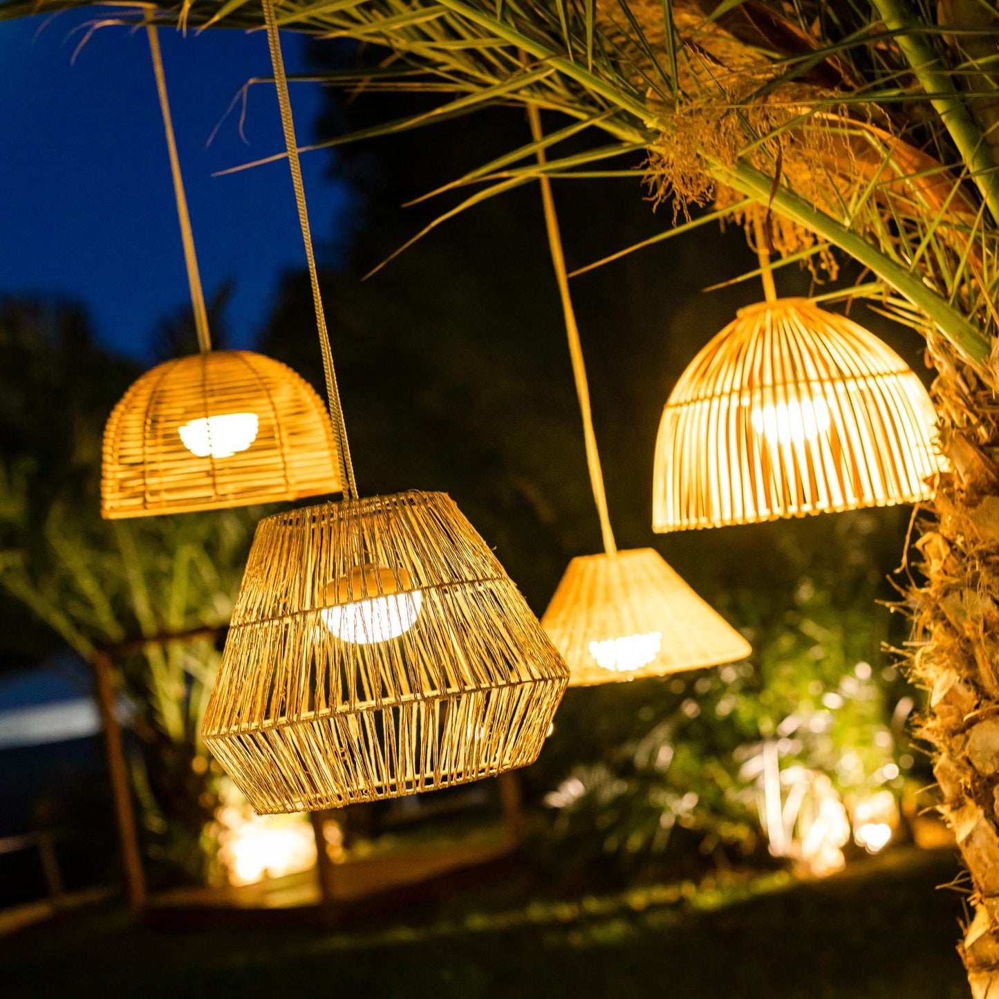 Reona- Indoor & Outdoor String Lights