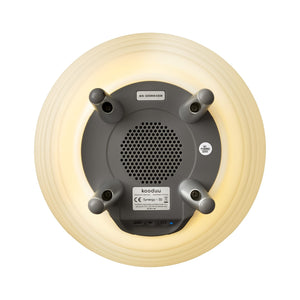 Synergy | LED Lamp, Wine Cooler & Bluetooth speaker